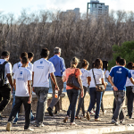 Em defesa dos manguezais